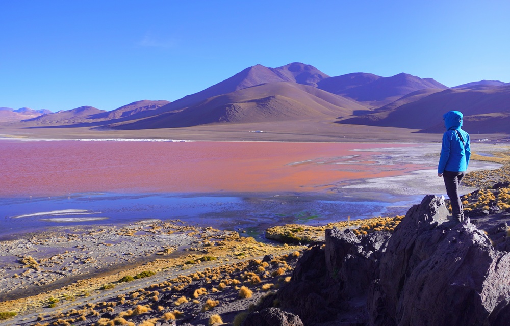 A Salar de Uyuni sósivataga és déli Altiplano természeti csodái (képes blog)
