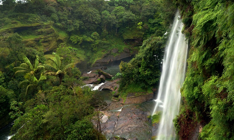 La Ruta de los Primos II. - Caño Canoas