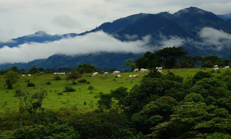 Utazás a FARC fővárosába, San Vicentébe