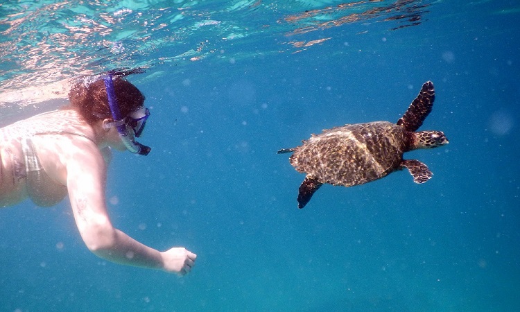 A Soberanía Nemzeti Park és Isla Coiba (képes blog)