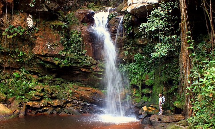 A venezuelai Hippiland