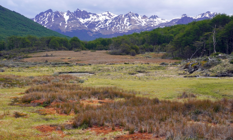 Tűzföld (képes blog)