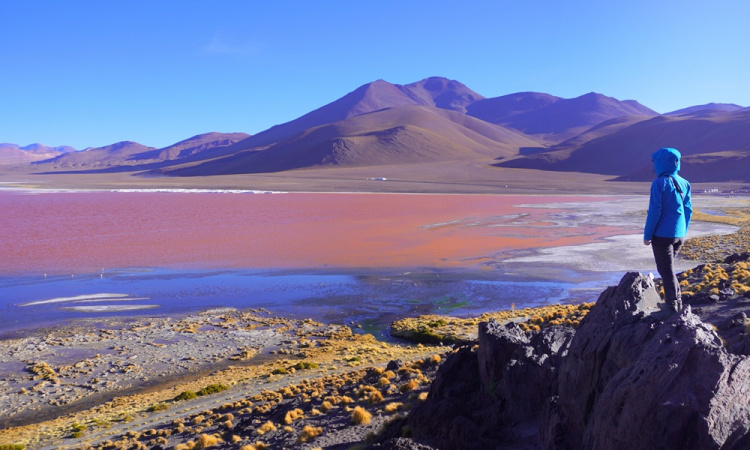 A Salar de Uyuni sósivataga és déli Altiplano természeti csodái (képes blog)