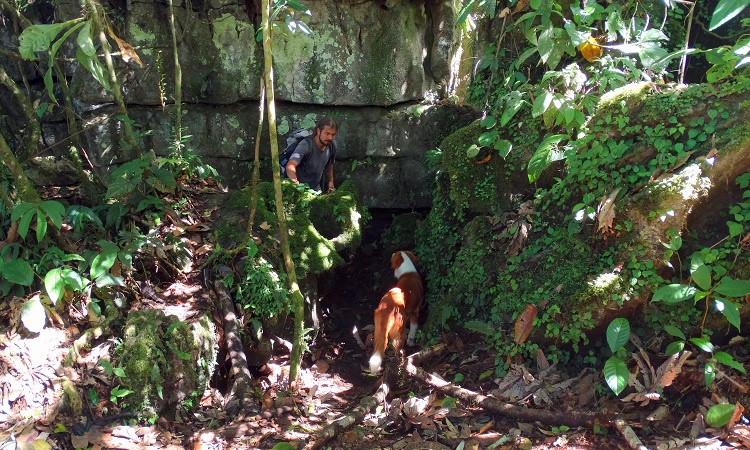 Chiguaza labirintusa és a Jumandi Park