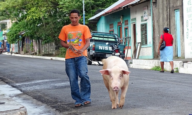 Nicaragua leforráz