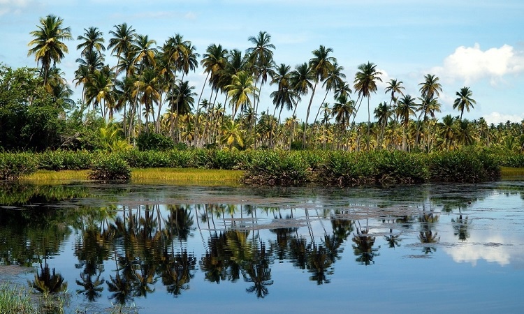 Dél-Trinidad ismeretlen nevezetességei