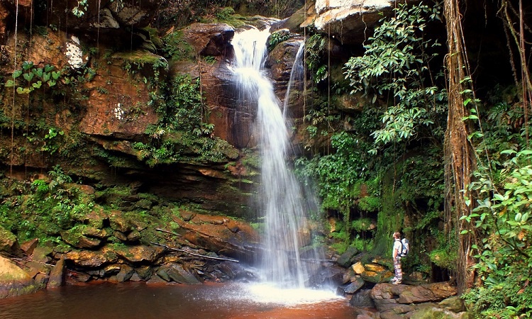 A venezuelai Hippiland