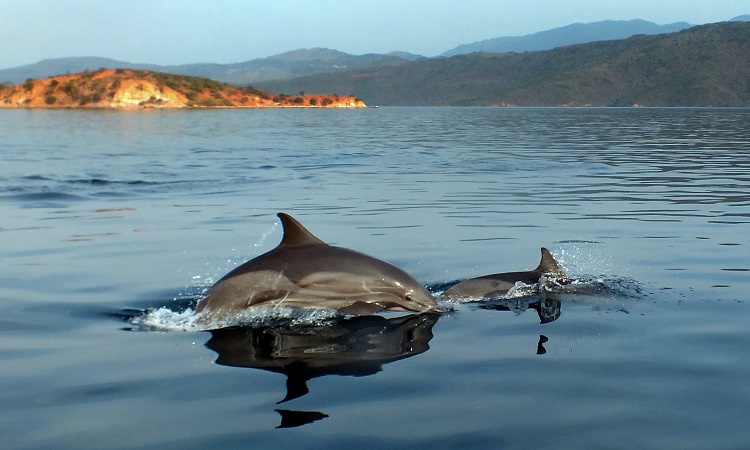 Mochima Nemzeti Park