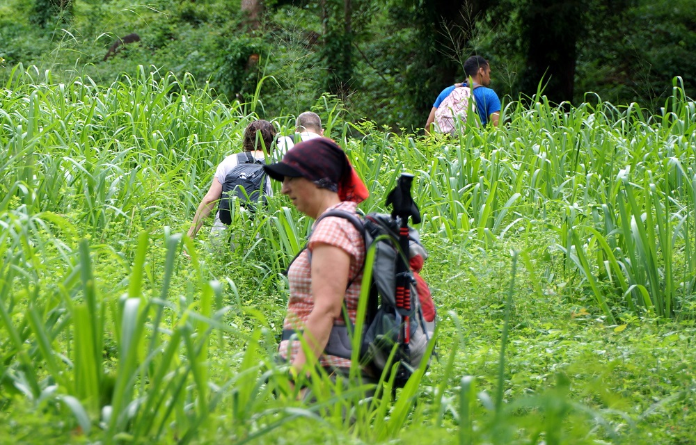 Nicaragua Isla Ometepe